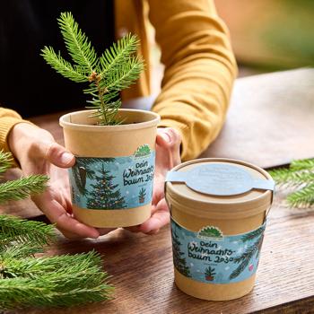 Preview: 2er-Set Hochwertiges Fichten-Anzuchtset für Ihren eigenen Weihnachtsbaum für 2030 – DIY Tannenbaum züchten – Originelles Geschenk für Weihnachten