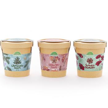 Set di coltivazione da 3: cosmos al cioccolato, albero di katsura & abete rosso – Regalo di Natale originale e bellissimo – Coltivare e curare da sé per gli appassionati di giardinaggio