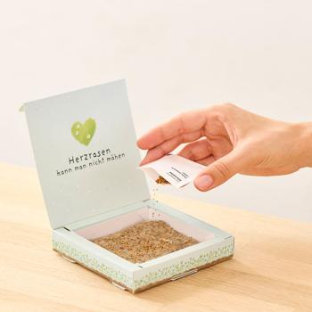 Preview: Charmantes Weidelgras-Pflanzset 