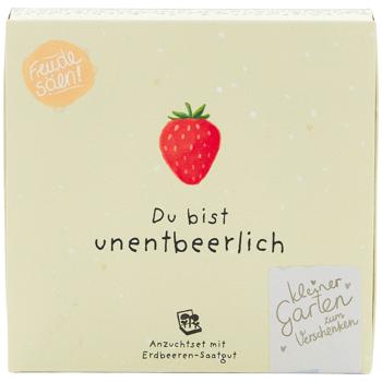 Süsses Erdbeeren-Set "Du bist unentbeerlich" – Einzigartiges Geschenk & Bedanken, das wächst & lange Freude schenkt - Einfache Zucht im Topf/Beet!