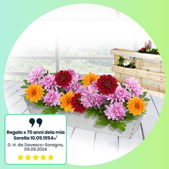 Preview: set di 4 fioriere di alta qualità - inserto per europallet, vaso da fiori in metallo zincato, 38,5 x 13,5 x 8,5 cm, per piantare e decorare