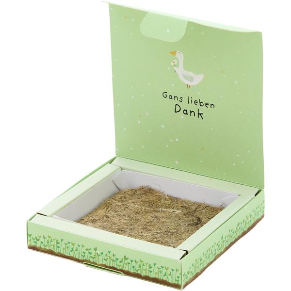 Charmant kit de plantation de pâquerettes “Gans lieben Dank“ – Cadeau et remerciement unique qui grandit et offre une joie durable - Parfait pour Noël