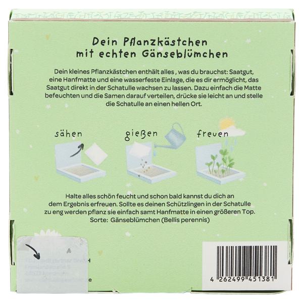 Charmant kit de plantation de pâquerettes “Gans lieben Dank“ – Cadeau et remerciement unique qui grandit et offre une joie durable - Parfait pour Noël