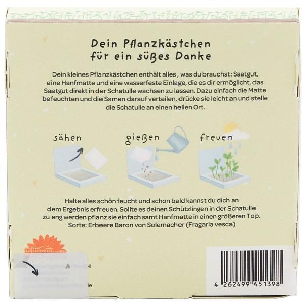 Süsses Erdbeeren-Set "Du bist unentbeerlich" – Einzigartiges Geschenk & Bedanken, das wächst & lange Freude schenkt - Einfache Zucht im Topf/Beet!