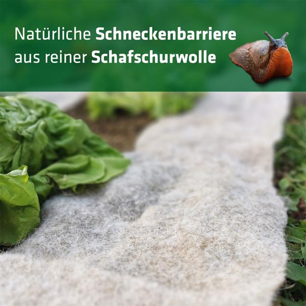 Effektiver Schneckenschutz: 5m Schafwolle Schneckenbremse für Gemüsebeet & Garten - Biologischer, giftfreier Schnecken-Stopp aus Wolle