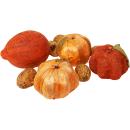Potpourri-Mix Pappmaschee, 420 Gramm, Kürbis