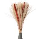 lot de 2 herbes de pampas séchées, naturelles fines et bordeaux, fleurs séchées