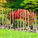 Palissade robuste en noisetier avec liens en métal: 90 x 500 cm, clôture naturelle, excellente tenue dans le temps – solide et résistante aux intempéries