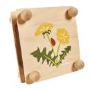 Torchio per foglie in legno di faggio, torchio per fiori con colori e sagome per dipingere, 18,5 x 18,5 cm
